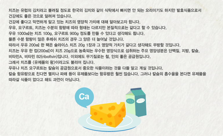 치즈의 영양적 가치